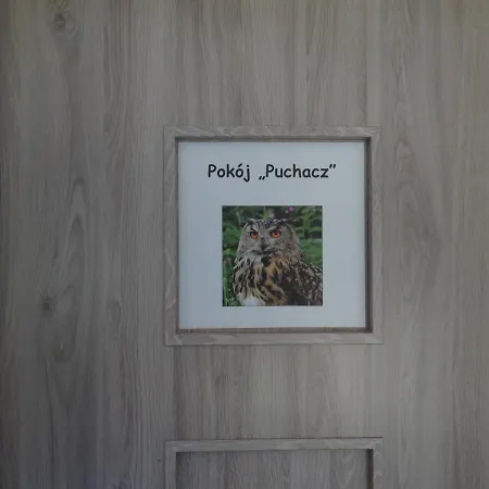 Nocleg U Sowy Pokoje Goscinne * Ober Wüstegiersdorf