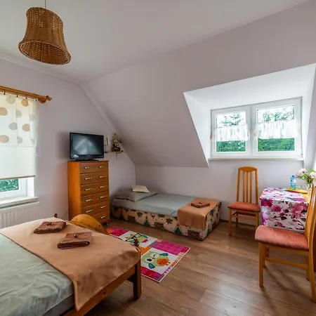 Nocleg U Sowy Pokoje Goscinne 홈스테이 Ober Wüstegiersdorf