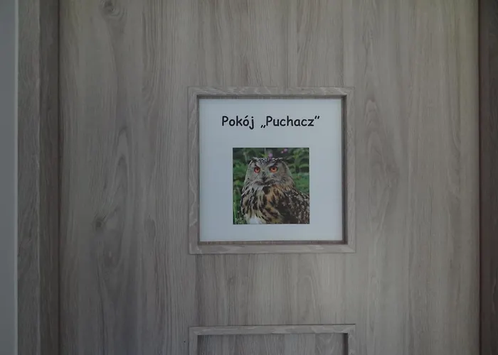 Nocleg U Sowy Pokoje Goscinne * Gluszyca Gorna